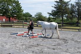 LR-WRF 08022025-Retreat-3306